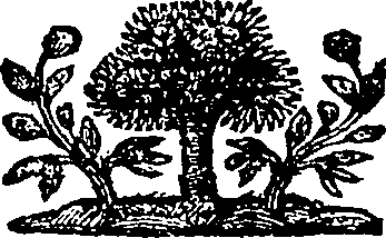 080/080140020102070_0.png
