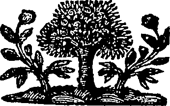 080/080140020102550_0.png