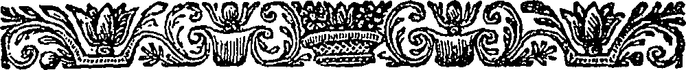 080/080190010000740_1.png