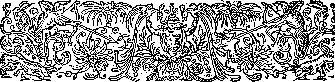 080/080190030000080_0.png