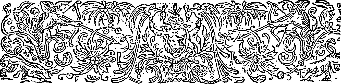 080/080190030000270_1.png