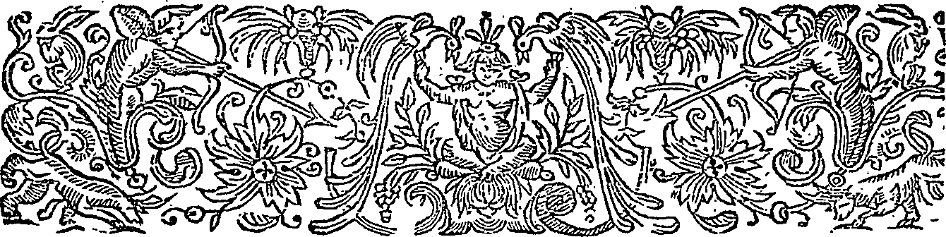 080/080190030000450_1.png