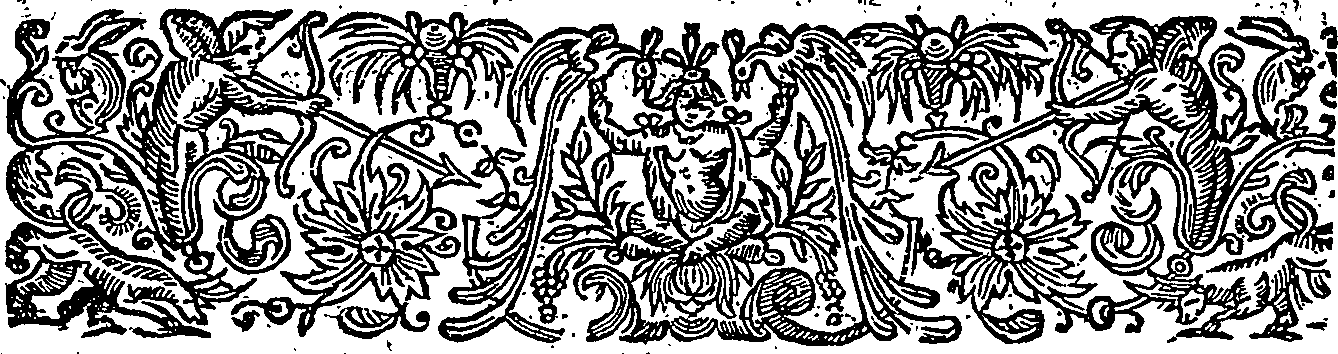 080/080190030000640_4.png