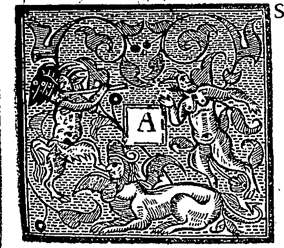 080/080190030000940_0.png