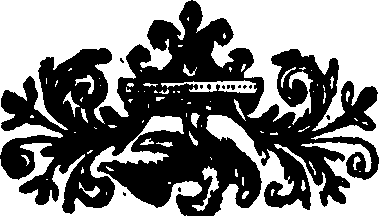 080/080220050000050_0.png