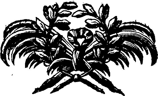 080/080290010102770_0.png