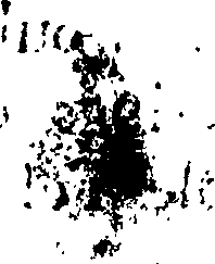 080/080300100000370_0.png