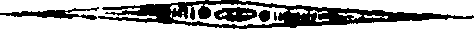 080/080320070000170_1.png