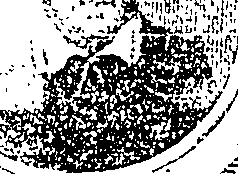 080/080370020200010_0.png