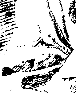 080/080420020100410_0.png