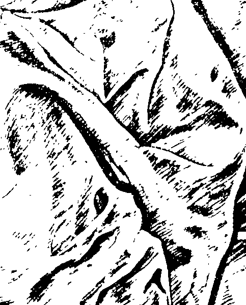 080/080420020100410_1.png