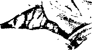 080/080420020100410_3.png