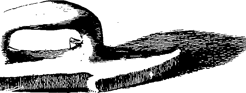 080/080420020200230_3.png
