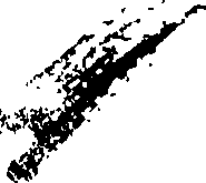 080/080420020204800_0.png