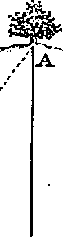 080/080480050005280_3.png