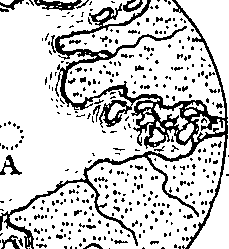 080/080480050005420_4.png