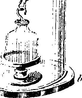080/080500010500480_1.png
