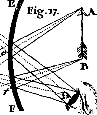 080/080500010500590_1.png