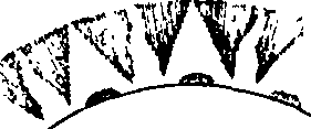 080/080500010500780_3.png
