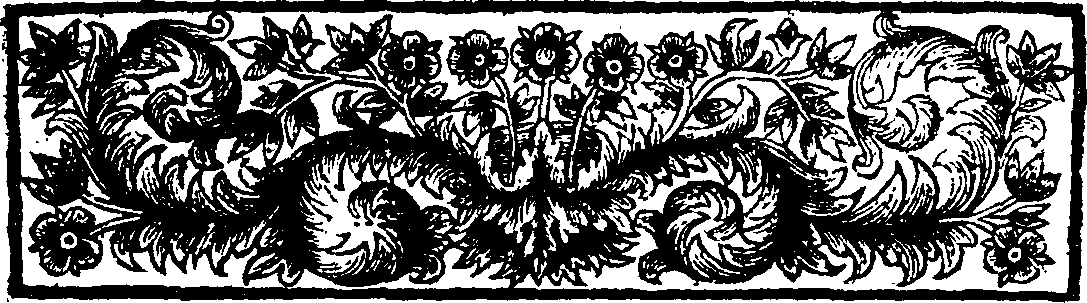 080/080540010000030_1.png