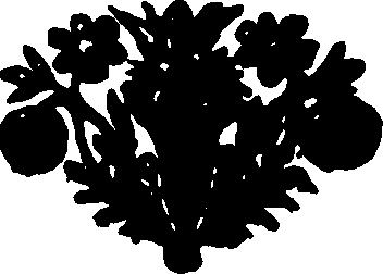 080/080690010000150_0.png