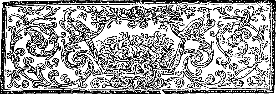 080/080710020105120_1.png