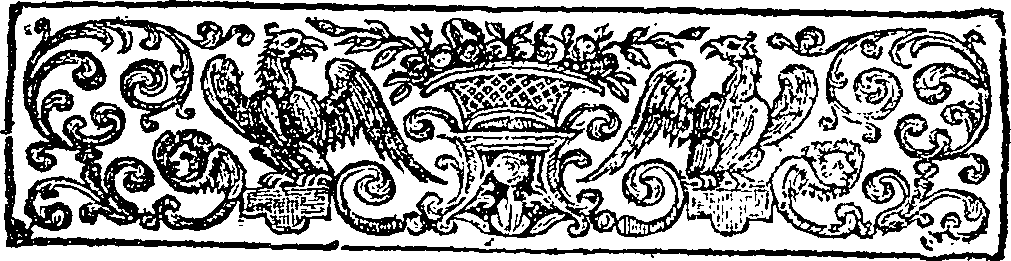 080/080710020205040_0.png