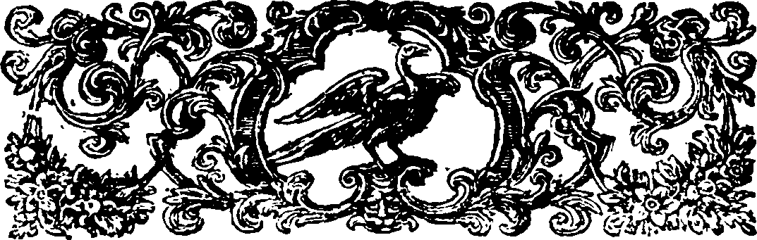 080/080720020100510_1.png