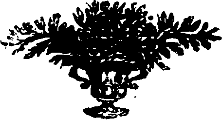 080/080720020201000_0.png
