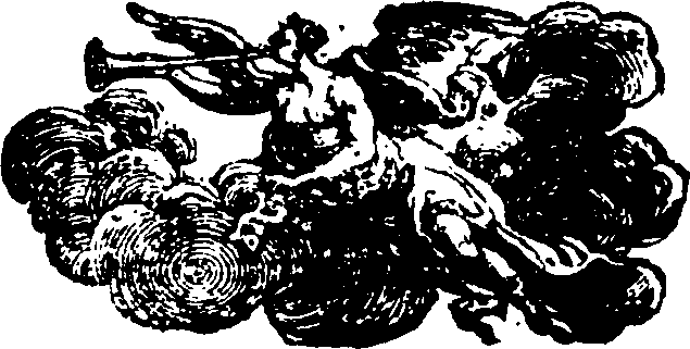 080/080720020202520_0.png