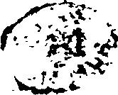 080/080750020000740_0.png