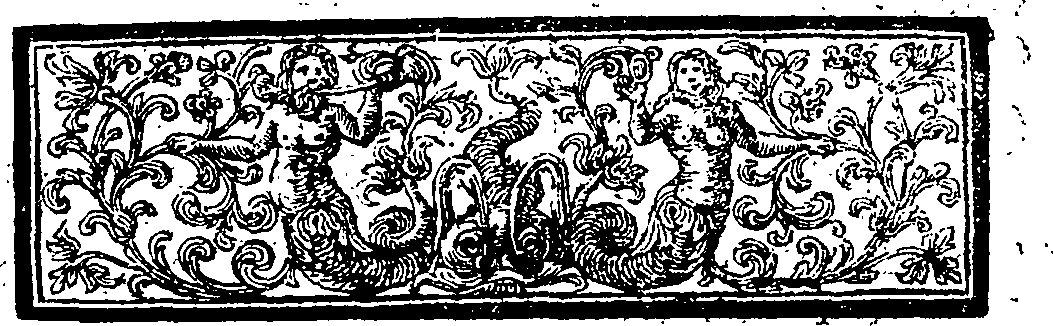 080/080790080000030_1.png