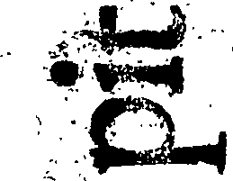 080/080790080000530_1.png