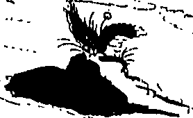 080/080840020000110_0.png