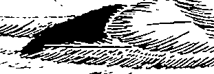 080/080840020000130_1.png
