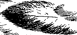 080/080840020000130_2.png