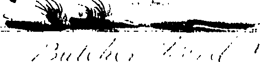 080/080840020000600_0.png