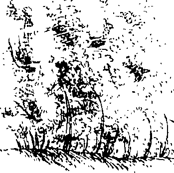 080/080840020000700_0.png
