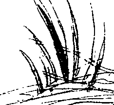 080/080840020001140_1.png
