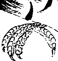080/080840020001200_0.png