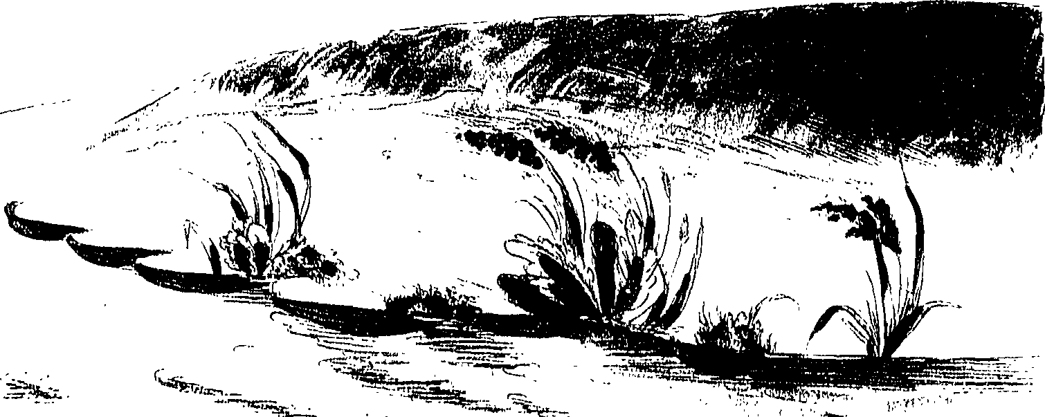 080/080840020001220_0.png
