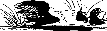 080/080840020001240_0.png