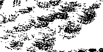 080/080840020002240_0.png