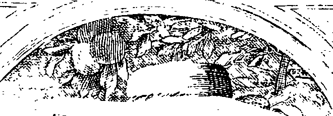 080/080850060001040_1.png