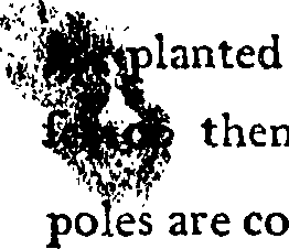 080/080850060001110_0.png