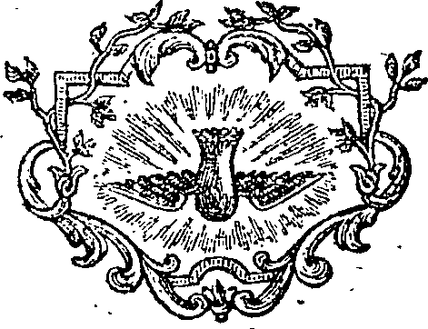 080/080870050000020_1.png
