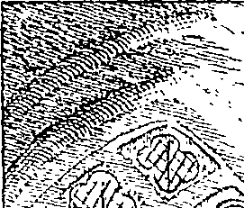 080/080910040100010_0.png