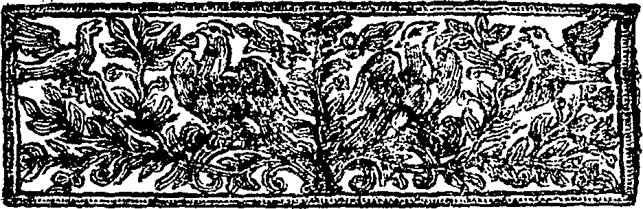 080/080910040102850_1.png