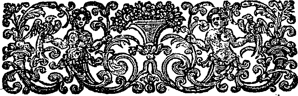 080/080940010000110_1.png