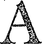 080/080950050000020_0.png